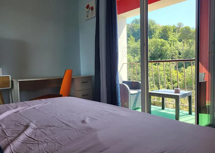 Private Room-2 In Hannana Apartment- 2 Min Walk To Tram 12 Min To Nice Train Station 15 Min To Massena Place